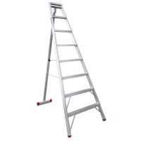 AGRICULTURAL LADDER 3 LEGS 5 TREADS