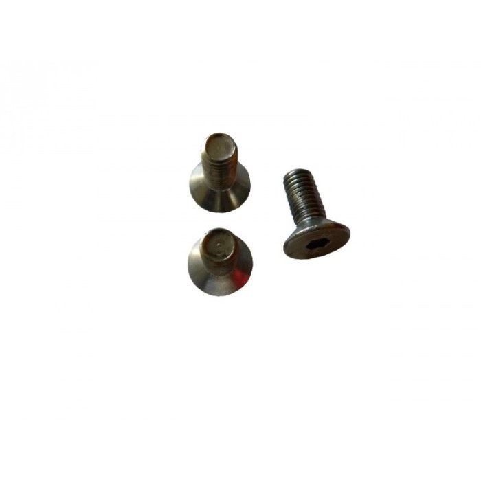 SCREW AND NUT FOR BICYCLE PALM TREE BLOCK